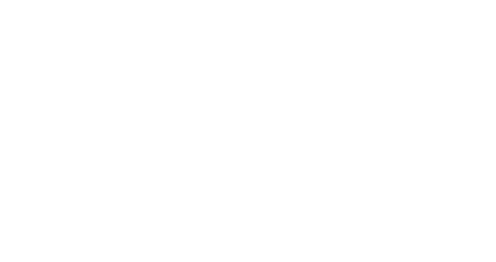 popir logo copy